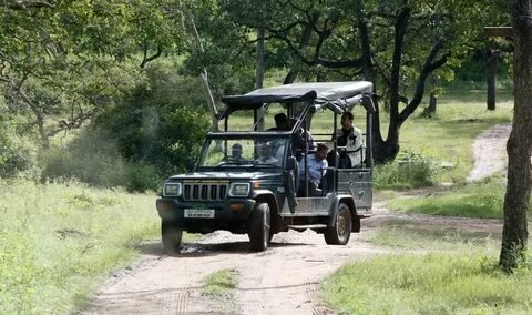 Open Jeep Safari MP